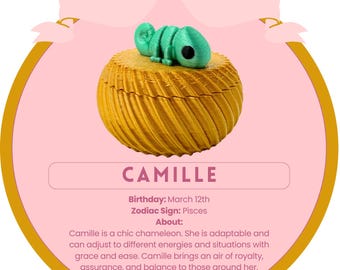Camille the Chameleon