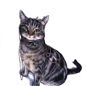 Cat art, Tabby cat drawing, signed giclee print,  cat illustration, cat wall art, cats, cat art images, cat fine art, gifts for cat lovers