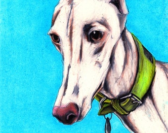 Galgo art print, sighthound art, print from original pen, coloured pencil and pastel drawing by Jim griffiths, whippet, wall art, Galgo art