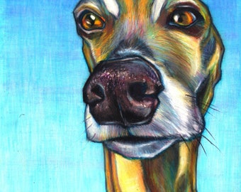 Greyhound  print, Greyhound drawing, greyhound art, giclée print, whippet artist Jim Griffiths art, Griffolo, Griff0lo, Leicester