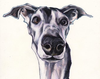 Portret van een huisdier op maat, tekening, huisdierportret, huisdierherdenking, tekening van een hond op maat, hondenmuurdecoratie, gepersonaliseerd cadeau, cadeau op maat