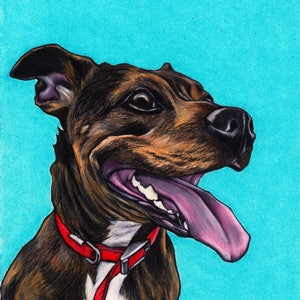 Staffordshire bull terrier print, Staffie, Staffy, Staffordshire bull terrier tekening, Staffordshire Bull Terrier muur kunst, Staffie geschenk