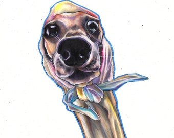 Whippet, Gel ink and colour pencil drawing, original wall art, tonal drawing, pencil art, sighthound art, greyhound drawing