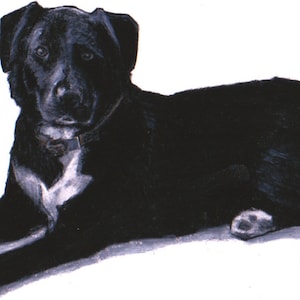 Black Labrador art print, Black Lab art images,drawing,Labrador wall art /fine art/in art,I love Labradors,Labrador gifts,Labrador retriever