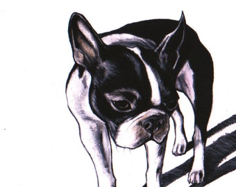 Boston Terrier print, Boston terrier kunst, Boston Terrier tekening, Boston Terrier muur kunst, Boston terriër fine art print