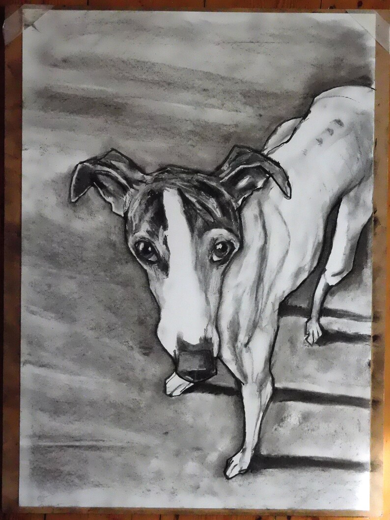 Custom Charcoal Drawing Dog Drawing Dog Wall Art Draw My - Etsy