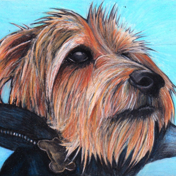 Yorkshire Terrier Art print, drawing, Yorkie wall art, pet art, Yorkie dog lover gifts, Yorkie Giclee print, Yorkshire terrier picture.