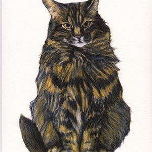 Tabby cat art print, cat drawing, cat illustration, cat wall art, cat art print, cats,cat art images,cats in art,cat fine art,Jim Griffiths