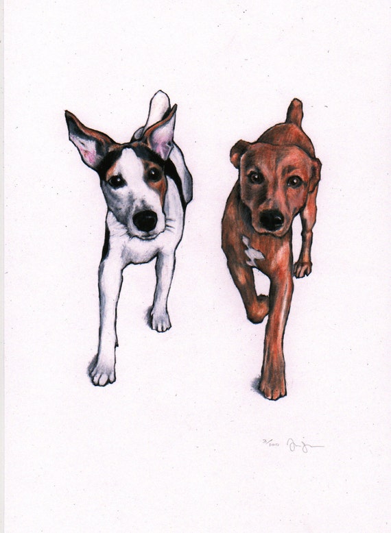 Signed, limited edition giclée print, coloured pencil drawing of 2 Jack Russell Terriers, by North Norfolk Artist Jim Griffiths