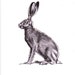 Impression d’art de lièvre, impression de giclée d’art de lièvre, art de mur de lièvre, par l’artiste britannique Jim Griffiths, dessin de lièvre, illustration de lièvre, impression de jack Rabbit