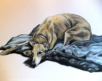 Custom dog illustration, commission dog art, pet art,custom dog wall art, a pet portrait drawing from photo,draw my dog, custom pet drawing