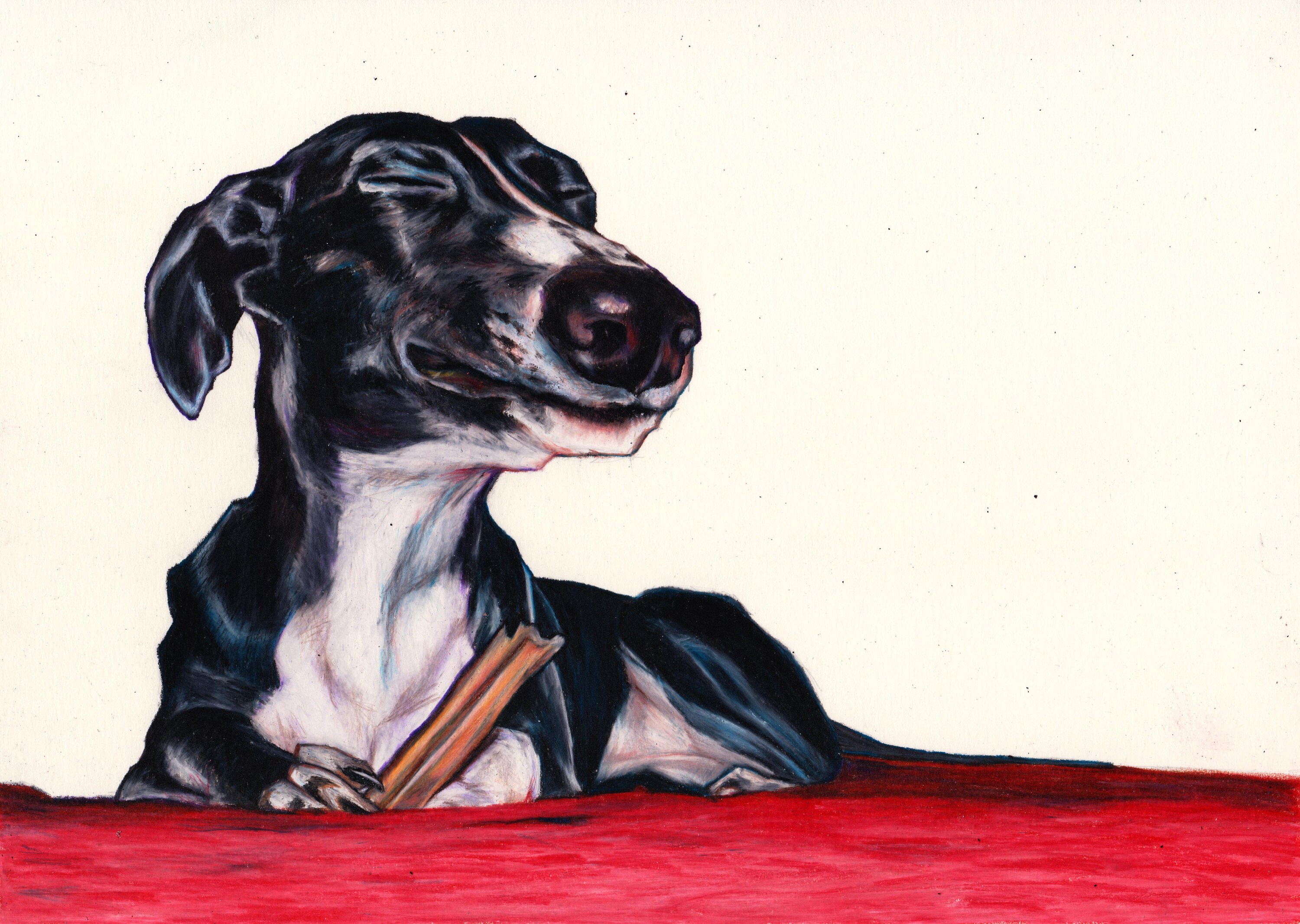 Whippet Print Whippet Art Print From Original Colour Pencil Etsy