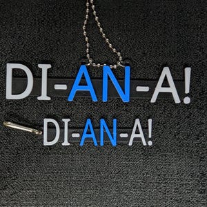 May include: Two black rectangular keychains featuring the white and blue text DI-AN-A! in a bold font. The top keychain includes a silver-toned metal ball chain, while the bottom keychain features a small silver-toned metal jump ring attached.