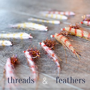 Fly Fishing Custom Tied Flies (6 pack) Trout Flies, Steelhead Flies, Saltwater Flies, Bass Flies, Fly Fishing - 6 Flies