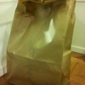May include: A brown paper bag with a folded top. The bag is empty and has a slight crinkle to it.