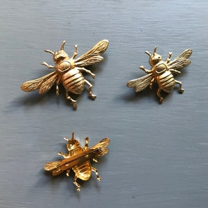 Napoleonic Bee Brooch 3 Sizes: Brass image 5