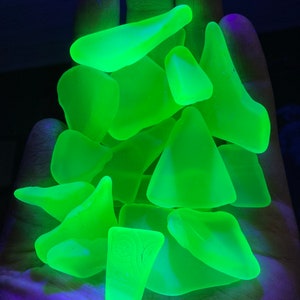May include: A collection of green glass sea glass pieces, glowing under a blacklight. The glass is smooth and has been tumbled by the ocean.