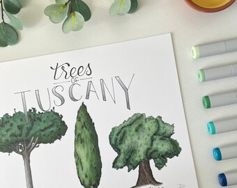 Trees of Tuscany | 5x7 or 8x10 Print on Recycled Cardstock