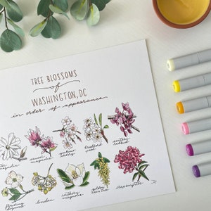 Fleurs d'arbres de Washington, DC | Impression 5 x 7/carte de correspondance ou impression 8 x 10 | Papier cartonné recyclé | Redbud, magnolia, cornouiller, cerisier