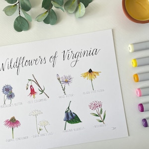 Wildflowers of Virginia | 5x7 Print/Notecard or 8x10 Print | Recycled Cardstock | Black Eyed Susan, Coneflower, Bluebells