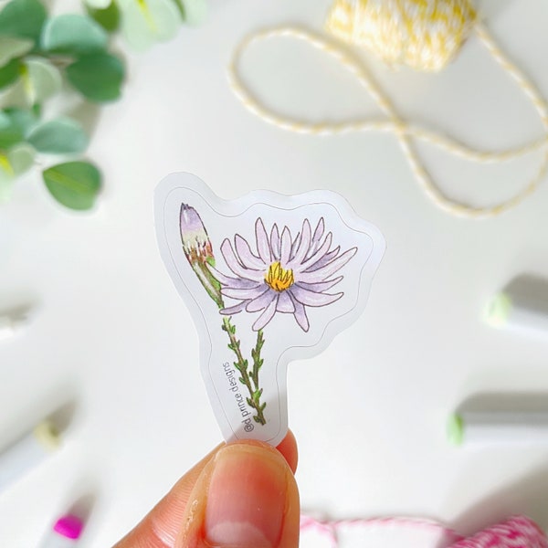 Hand-Illustrated Purple Aster Flower Wildflower Sticker | Blossom, Bloom, Wildflowers | 2" Sticker | Symphyotrichum patens | Spreading Aster