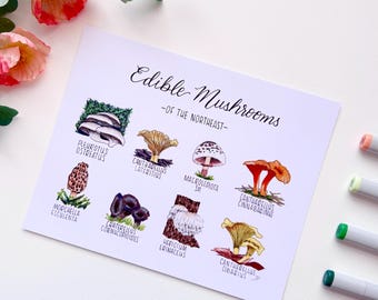 Edible Mushrooms of the Northeast | 5x7 or 8x10 Print | Recycled Cardstock  | Includes Chanterelles, Morels, Oyster