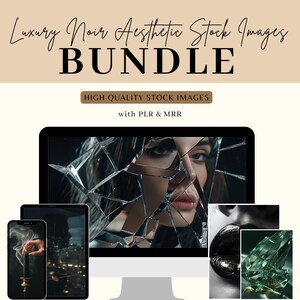 Luxury Noir Stock Photos: Dark Academia Image Bundle