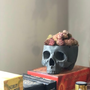 May include: A gray skull-shaped planter filled with pink and green succulents. The planter sits atop a stack of books, including "The Divine Feminine Oracle" and "The Language of Flowers." A decorative item for home decor.