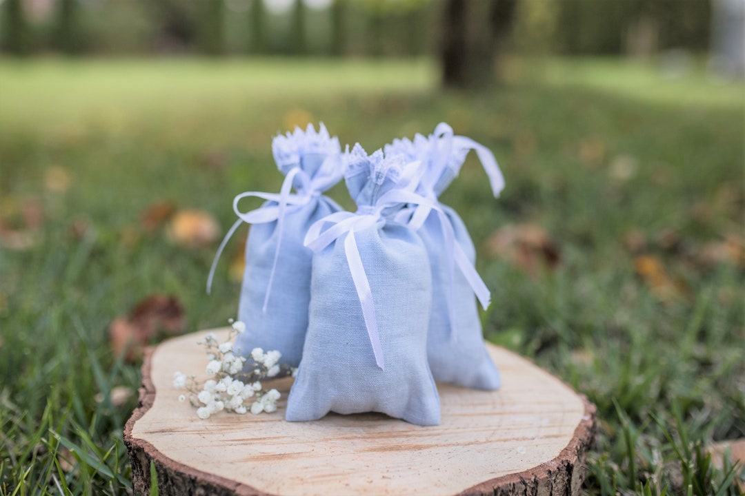 Set 10 Dusty Blue Wedding Gift Bags, Set Dusty Blue Baptism Favors