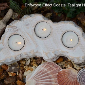 May include: Whitewashed wooden tealight holder shaped like driftwood with three candle holders. The holder is sitting on a bed of small stones and seashells.