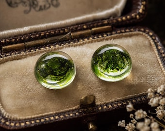 Real Moss Stud Earrings, minimalistic style Nature Jewelry, Cottagecore Fairycore wedding