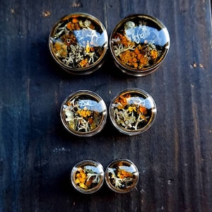 Peut inclure: Ensemble de six jauges d'oreille en résine transparente avec des fleurs et des feuillages séchés incorporés. Les jauges sont de différentes tailles, la plus grande mesurant environ 2,5 cm de diamètre.