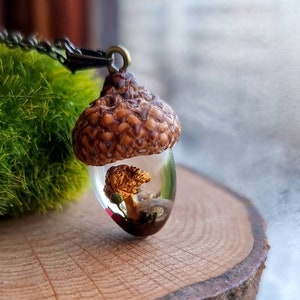 Eichel Halskette mit echtem Pilz im Anhänger als Geschenk für die Waldhexe handgemachter Boho Schmuck für Naturliebhaber im Cottagecore Stil