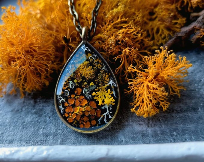 Real lichen and moss teardrop pendant Birthday gift for girlfriend Nature lover Boho chic Cottagecore wedding jewelry Witchy style necklace