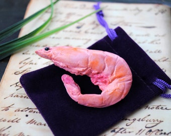 Bijoux étranges crevettes dans le style Cottagecore Cadeau d'anniversaire drôle pour un ami Broche faite main Épinglette unique animal marin Épingle pour sac à dos scolaire