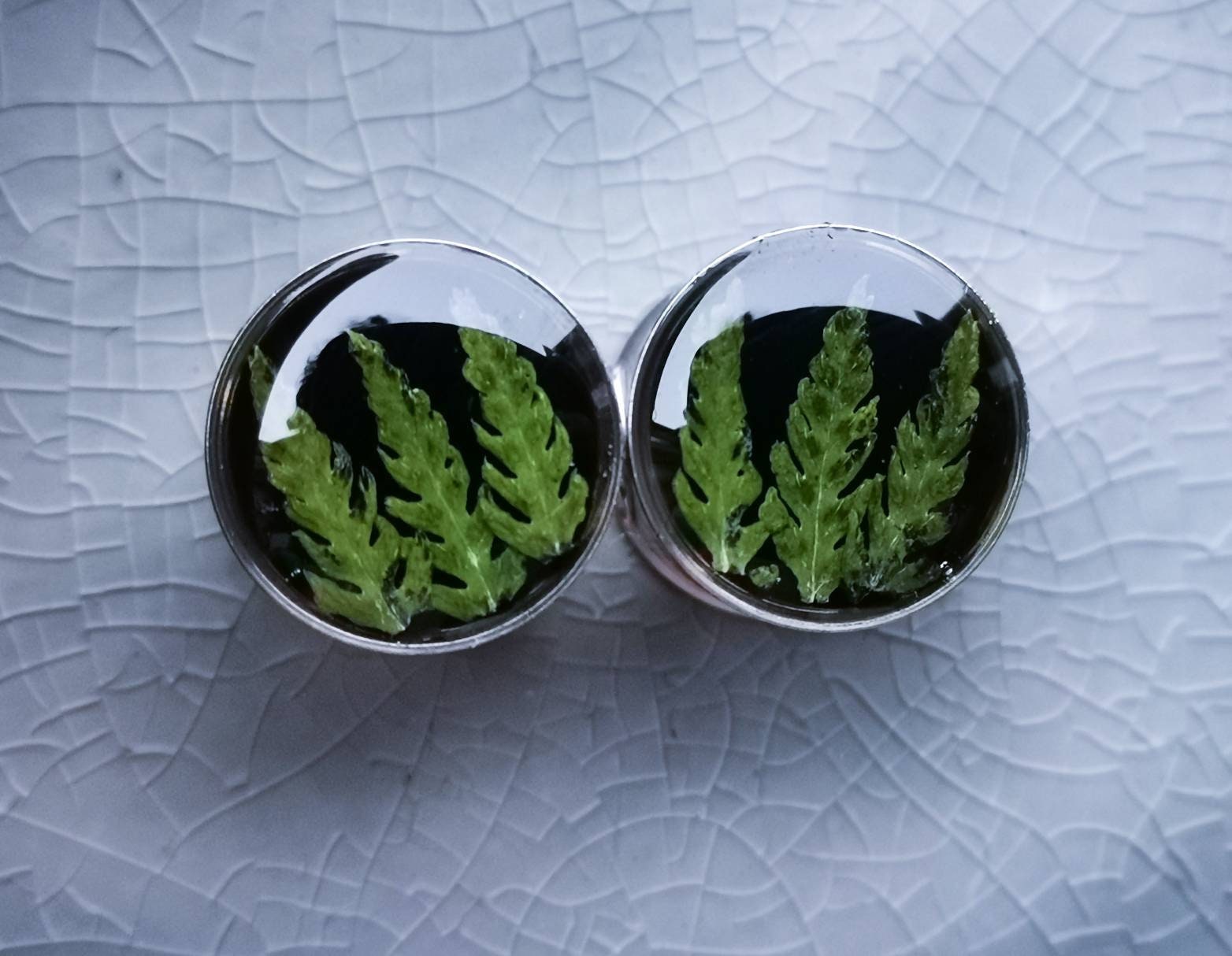 1/2 plugs Piercing tunnels Resin jewelry Stretchers Etsy