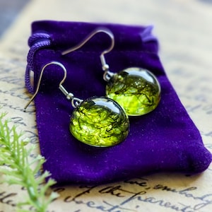 May include: A pair of silver dangle earrings with round green resin charms containing pressed green moss. The earrings are displayed on a purple velvet pouch.