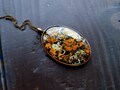 Real lichen and moss necklace Natural piece of Forest witch Birthday gift for boyfriend Woodland amulet Men jewelry in Cottagecore style product logo
