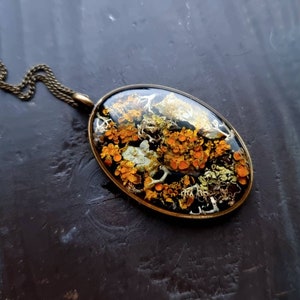 Real lichen and moss necklace Natural piece of Forest witch Birthday gift for boyfriend Woodland amulet Men jewelry in Cottagecore style