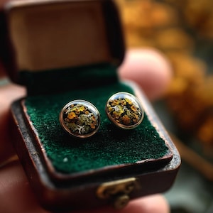 Op de afbeelding: Een paar ronde oorstekers met goudkleurige randen. De oorbellen hebben een helder, gewelfd oppervlak met een ontwerp van gedroogde planten in groen, geel en bruin. De oorbellen worden gepresenteerd in een kleine, open sieradendoos in vintage-stijl met een groene fluwelen binnenkant.