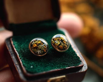 Pendientes de botón con líquenes naturales: joyería botánica de resina, regalo de estilo cottagecore.