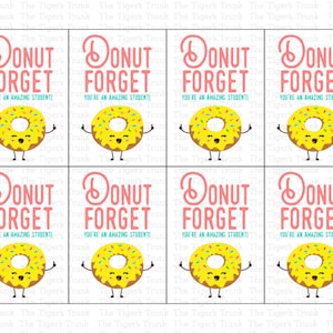 Donut Theme Class Party Favors, End of Year Cards for Students from Teachers, Printable Cards, End of School Year Gifts, Student Goodie