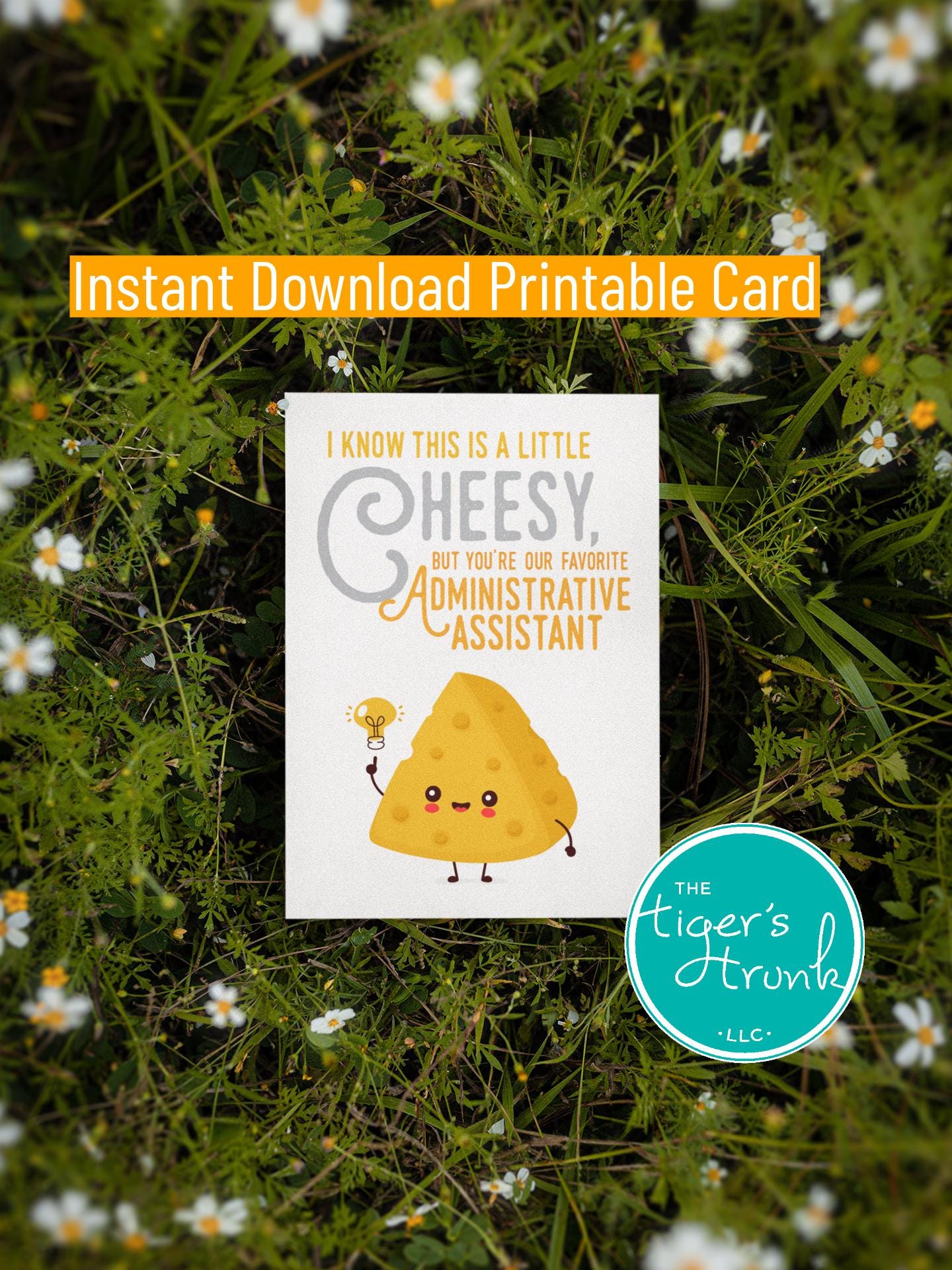 Printable Administrative Assistant Appreciation Card, Instant Download Funny Admin Day Card, Digital Thank You Card for Admin Professionals