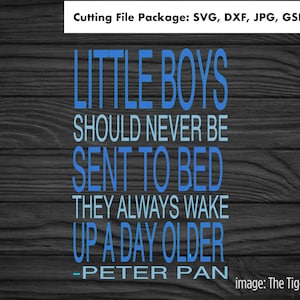 Baby Boy Cut Files, Nursery Decor, Little Boys Should Never Be Sent to Bed SVG Cut Files, Digital Cutting File Package, Boys Room Decor
