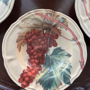 May include: Off-white ceramic plates with a scalloped edge. Each plate features a detailed illustration of a cluster of red grapes, green leaves, and a vine. The plates are arranged on a dark wooden surface.