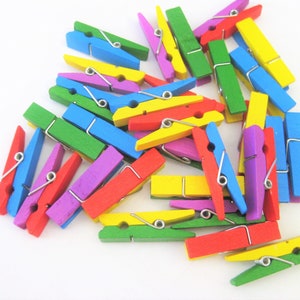 48 Small Wood Clothes Pins 1 3/4 Inch Long 