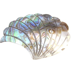 May include: Abalone shell shaped decorative item. The iridescent shell displays a range of colors including blue, green, and gold. The shell is carved with a fan-like design, and is set against a white background.