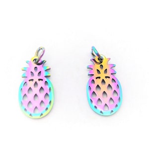 Jewelry Supplies -  2  Pineapple  Rainbow Metal Charm  Pendant  Set/2  -  20x10mm, Small  (N11C)