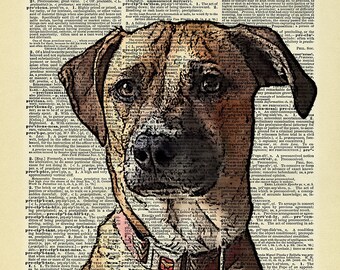 Custom DIGITAL Descargar página del retrato del animal doméstico-Diccionario - impresión física no enviada.  Arte de la página del libro vintage.  Página de Diccionario de arte digital