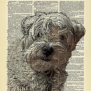 Puede incluir: Una impresión de arte digital de la cara de un perro creada utilizando una página de diccionario vintage. El pelaje del perro está hecho del texto y los ojos del perro son negros. El perro está mirando directamente al espectador.